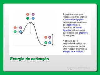Magda Charrua  2010/2011 Biologia 12º ano  Energia de activação 