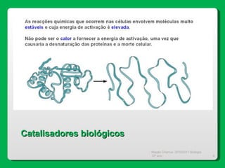 Magda Charrua  2010/2011 Biologia 12º ano  Catalisadores biológicos 