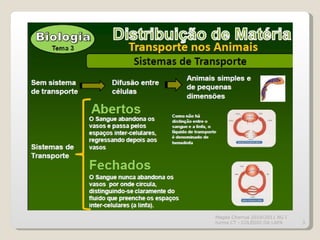 Magda Charrua 2010/2011 BG I turma CT - COLÉGIO DA LAPA 