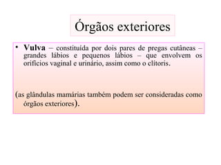 Órgãos exteriores
• Vulva – constituída por dois pares de pregas cutâneas –
grandes lábios e pequenos lábios – que envolvem os
orifícios vaginal e urinário, assim como o clítoris.
(as glândulas mamárias também podem ser consideradas como
órgãos exteriores).
 