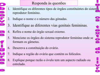 Responda às questões
1. Identifique os diferentes tipos de órgãos constituintes do sistema
reprodutor feminino.
2. Indique o nome e o número das gónadas.
3. Identifique as diferentes vias genitais femininas.
4. Refira o nome do órgão sexual externo.
5. Mencione os órgãos do sistema reprodutor feminino onde se
formam os gâmetas.
6. Descreva a constituição do ovário.
7. Indique a região do ovário que contém os folículos.
8. Explique porque razão o óvulo tem um aspecto radiado ou
estrelado.
 