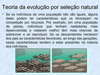 • Se os indivíduos de uma população não são iguais, alguns
deles podem ter características que os favoreçam na
competição por recursos. Por exemplo, em uma população
de peixes, indivíduos que tenham nadadeiras mais
desenvolvidas e nadarem melhor têm mais chances de
sobreviver e se reproduzir. Se os descendentes herdarem
dos pais as características favoráveis, ao longo das gerações,
essas características tendem a estar presentes na maioria
dos indivíduos.
Teoria da evolução por seleção natural
 