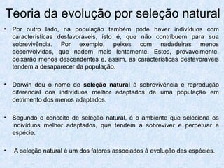 • Por outro lado, na população também pode haver indivíduos com
características desfavoráveis, isto é, que não contribuem para sua
sobrevivência. Por exemplo, peixes com nadadeiras menos
desenvolvidas, que nadem mais lentamente. Estes, provavelmente,
deixarão menos descendentes e, assim, as características desfavoráveis
tendem a desaparecer da população.
• Darwin deu o nome de seleção natural à sobrevivência e reprodução
diferencial dos indivíduos melhor adaptados de uma população em
detrimento dos menos adaptados.
• Segundo o conceito de seleção natural, é o ambiente que seleciona os
indivíduos melhor adaptados, que tendem a sobreviver e perpetuar a
espécie.
• A seleção natural é um dos fatores associados à evolução das espécies.
Teoria da evolução por seleção natural
 