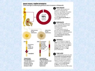 Aula 7º ano - Evolução