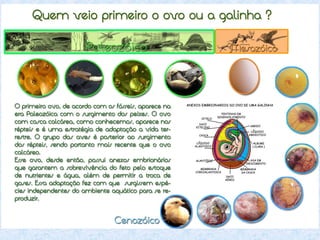 Aula 7º ano - Evolução