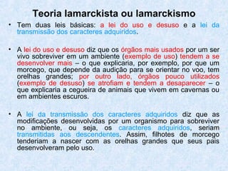 • Tem duas leis básicas: a lei do uso e desuso e a lei da
transmissão dos caracteres adquiridos.
• A lei do uso e desuso diz que os órgãos mais usados por um ser
vivo sobreviver em um ambiente (exemplo de uso) tendem a se
desenvolver mais – o que explicaria, por exemplo, por que um
morcego, que depende da audição para se orientar no voo, tem
orelhas grandes; por outro lado, órgãos pouco utilizados
(exemplo de desuso) se atrofiam e tendem a desaparecer – o
que explicaria a cegueira de animais que vivem em cavernas ou
em ambientes escuros.
• A lei da transmissão dos caracteres adquiridos diz que as
modificações desenvolvidas por um organismo para sobreviver
no ambiente, ou seja, os caracteres adquiridos, seriam
transmitidas aos descendentes. Assim, filhotes de morcego
tenderiam a nascer com as orelhas grandes que seus pais
desenvolveram pelo uso.
Teoria lamarckista ou lamarckismo
 