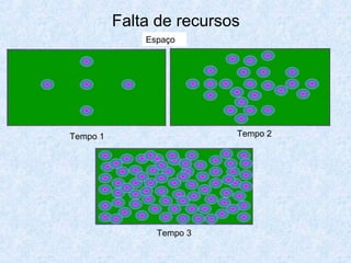 Falta de recursos
Espaço
Tempo 1 Tempo 2
Tempo 3
 