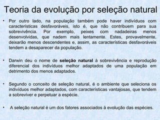 • Por outro lado, na população também pode haver indivíduos com
características desfavoráveis, isto é, que não contribuem para sua
sobrevivência. Por exemplo, peixes com nadadeiras menos
desenvolvidas, que nadem mais lentamente. Estes, provavelmente,
deixarão menos descendentes e, assim, as características desfavoráveis
tendem a desaparecer da população.
• Darwin deu o nome de seleção natural à sobrevivência e reprodução
diferencial dos indivíduos melhor adaptados de uma população em
detrimento dos menos adaptados.
• Segundo o conceito de seleção natural, é o ambiente que seleciona os
indivíduos melhor adaptados, com características vantajosas, que tendem
a sobreviver e perpetuar a espécie.
• A seleção natural é um dos fatores associados à evolução das espécies.
Teoria da evolução por seleção natural
 