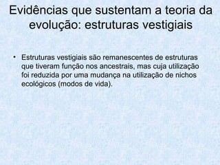 • Estruturas vestigiais são remanescentes de estruturas
que tiveram função nos ancestrais, mas cuja utilização
foi reduzida por uma mudança na utilização de nichos
ecológicos (modos de vida).
Evidências que sustentam a teoria da
evolução: estruturas vestigiais
 