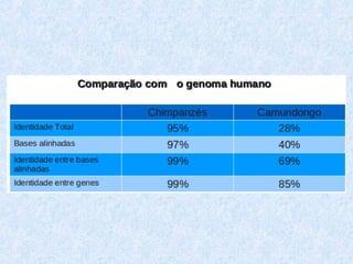 Aula 7º ano - Evolução (completo)