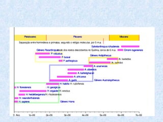 Aula 7º ano - Evolução (completo)