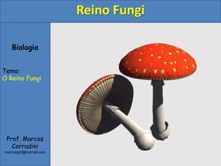 Biologia
Tema:
O Reino Fungi
Prof. Marcos
Corradini
marcosgdr@hotmail.com
Reino Fungi
 