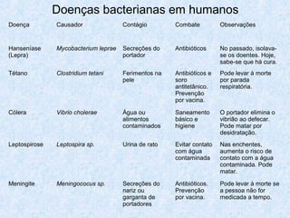 Doenças bacterianas em humanos
Doença Causador Contágio Combate Observações
Hanseníase
(Lepra)
Mycobacterium leprae Secreções do
portador
Antibióticos No passado, isolava-
se os doentes. Hoje,
sabe-se que há cura.
Tétano Clostridium tetani Ferimentos na
pele
Antibióticos e
soro
antitetânico.
Prevenção
por vacina.
Pode levar à morte
por parada
respiratória.
Cólera Vibrio cholerae Água ou
alimentos
contaminados
Saneamento
básico e
higiene
O portador elimina o
vibrião ao defecar.
Pode matar por
desidratação.
Leptospirose Leptospira sp. Urina de rato Evitar contato
com água
contaminada
Nas enchentes,
aumenta o risco de
contato com a água
contaminada. Pode
matar.
Meningite Meningococus sp. Secreções do
nariz ou
garganta de
portadores
Antibióticos.
Prevenção
por vacina.
Pode levar à morte se
a pessoa não for
medicada a tempo.
 