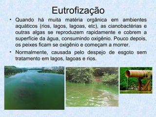 Eutrofização
• Quando há muita matéria orgânica em ambientes
aquáticos (rios, lagos, lagoas, etc), as cianobactérias e
outras algas se reproduzem rapidamente e cobrem a
superfície da água, consumindo oxigênio. Pouco depois,
os peixes ficam se oxigênio e começam a morrer.
• Normalmente, causada pelo despejo de esgoto sem
tratamento em lagos, lagoas e rios.
 