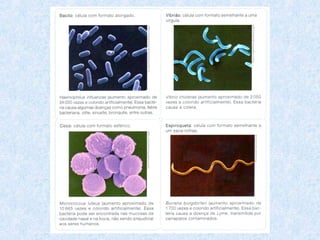 Ação dos antibactericidas (água oxigenada, álcool, sabão, etc):
destroem a parede celular e a membrana plasmática das
célu...