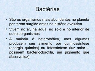 Doenças causadas por bactérias em humanos
• Cólera, pneumonia, tuberculose, cárie,
meningite, lepra (hanseníase), tétano,
...