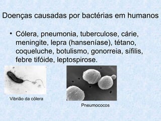 Doenças causadas por bactérias em humanos
• Cólera, pneumonia, tuberculose, cárie,
meningite, lepra (hanseníase), tétano,
coqueluche, botulismo, gonorreia, sífilis,
febre tifóide, leptospirose.
Vibrião da cólera
Pneumococos
 