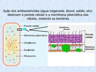 Ação dos antibactericidas (água oxigenada, álcool, sabão, etc):
destroem a parede celular e a membrana plasmática das
células, matando as bactérias
 