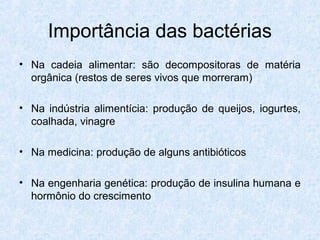 Importância das bactérias
• Na cadeia alimentar: são decompositoras de matéria
orgânica (restos de seres vivos que morreram)
• Na indústria alimentícia: produção de queijos, iogurtes,
coalhada, vinagre
• Na medicina: produção de alguns antibióticos
• Na engenharia genética: produção de insulina humana e
hormônio do crescimento
 
