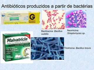 Antibióticos produzidos a partir de bactérias
Bacitracina: Bacillus
subtilis
Neomicina:
Streptomyces sp.
Tirotricina: Bacillus brevis
 