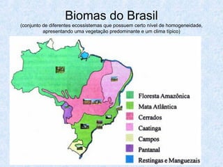Biomas do Brasil
(conjunto de diferentes ecossistemas que possuem certo nível de homogeneidade,
apresentando uma vegetação predominante e um clima típico)

 