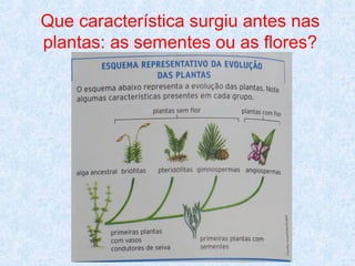 Que característica surgiu antes nas
plantas: as sementes ou as flores?

 