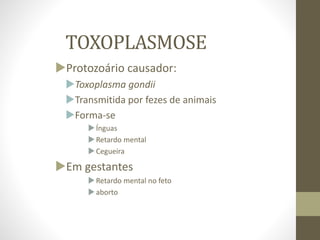 TOXOPLASMOSE
Protozoário causador:
Toxoplasma gondii
Transmitida por fezes de animais
Forma-se
Ínguas
Retardo mental
Cegueira
Em gestantes
Retardo mental no feto
aborto
 