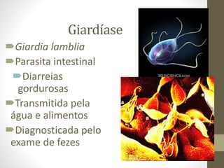 Giardíase
Giardia lamblia
Parasita intestinal
Diarreias
gordurosas
Transmitida pela
água e alimentos
Diagnosticada pelo
exame de fezes
 