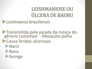 LEISHMANIOSE OU
ÚLCERA DE BAURU
Leishmania brasiliensis
Transmitida pela picada da mosca do
gênero Lutzomya - Mosquito palha
Causa feridas ulcerosas
Nariz
Boca
faringe
 
