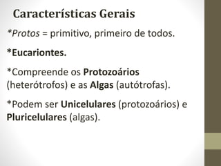 *Protos = primitivo, primeiro de todos.
*Eucariontes.
*Compreende os Protozoários
(heterótrofos) e as Algas (autótrofas).
*Podem ser Unicelulares (protozoários) e
Pluricelulares (algas).
Características Gerais
 