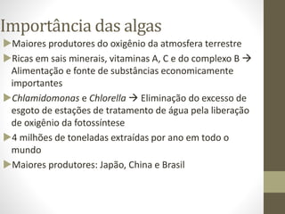 Importância das algas
Maiores produtores do oxigênio da atmosfera terrestre
Ricas em sais minerais, vitaminas A, C e do complexo B 
Alimentação e fonte de substâncias economicamente
importantes
Chlamidomonas e Chlorella  Eliminação do excesso de
esgoto de estações de tratamento de água pela liberação
de oxigênio da fotossíntese
4 milhões de toneladas extraídas por ano em todo o
mundo
Maiores produtores: Japão, China e Brasil
 