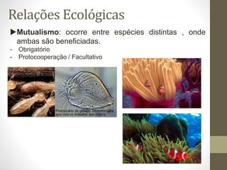 Relações Ecológicas
Mutualismo: ocorre entre espécies distintas , onde
ambas são beneficiadas.
- Obrigatório
- Protocooperação / Facultativo
 