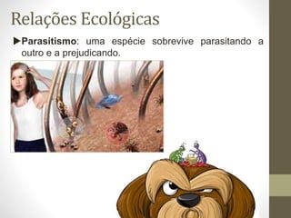 Relações Ecológicas
Parasitismo: uma espécie sobrevive parasitando a
outro e a prejudicando.
 