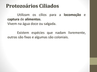Protozoários Ciliados
Utilizam os cílios para a locomoção e
captura de alimentos.
Vivem na água doce ou salgada.
Existem espécies que nadam livremente,
outras são fixas e algumas são coloniais.
 