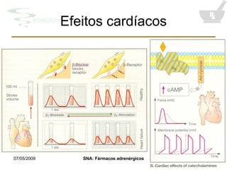 Efeitos cardíacos 