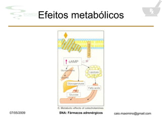 Efeitos metabólicos 