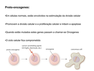 Proto-oncogenes:
•Em células normais, estão envolvidos na estimulação da divisão celular
•Promovem a divisão celular e a proliferação celular e inibem a apoptose
•Quando estão mutados estes genes passam a chamar-se Oncogenes
•O ciclo celular fica comprometido
 