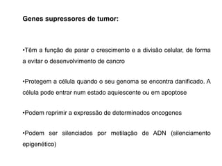 Genes supressores de tumor:
•Têm a função de parar o crescimento e a divisão celular, de forma
a evitar o desenvolvimento de cancro
•Protegem a célula quando o seu genoma se encontra danificado. A
célula pode entrar num estado aquiescente ou em apoptose
•Podem reprimir a expressão de determinados oncogenes
•Podem ser silenciados por metilação de ADN (silenciamento
epigenético)
 