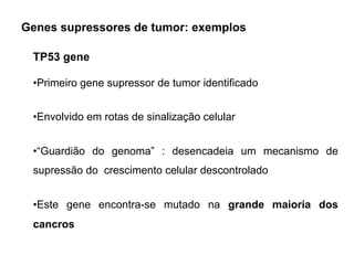 Genes supressores de tumor: exemplos
TP53 gene
•Primeiro gene supressor de tumor identificado
•Envolvido em rotas de sinalização celular
•“Guardião do genoma” : desencadeia um mecanismo de
supressão do crescimento celular descontrolado
•Este gene encontra-se mutado na grande maioria dos
cancros
 