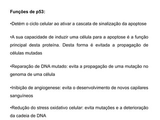 Funções de p53:
•Detém o ciclo celular ao ativar a cascata de sinalização da apoptose
•A sua capacidade de induzir uma célula para a apoptose é a função
principal desta proteína. Desta forma é evitada a propagação de
células mutadas
•Reparação de DNA mutado: evita a propagação de uma mutação no
genoma de uma célula
•Inibição de angiogenese: evita o desenvolvimento de novos capilares
sanguíneos
•Redução do stress oxidativo celular: evita mutações e a deterioração
da cadeia de DNA
 