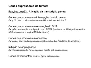 Funções de p53: Ativação da transcrição genes:
Genes que promovem a interrupção do ciclo celular:
Ex: p21, pára o ciclo celular na fase G1 unindo-se à ciclina E
Genes que promovem a reparação do DNA:
Ex: p21, através da sua ligação com PCNA (co-factor de DNA polimerase) e
XPC (reconhece e repára DNA danificado)
Genes que promovem a apoptose:
Ex: puma, através da regulação negativa sobre bcl-2 (inibidor de apoptose).
Inibição de angiogenese
Ex: Thrombospondin (proteínas com função anti-angiogénica).
Genes antioxidantes: sestrins (gene antioxidante).
Genes supressores de tumor:
 