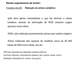•p53 ativa genes antioxidantes o que faz diminuir o stress
oxidativo, através da eliminação de ROS (reactive oxigen
species) numa célula
•ROS, são moléculas quimicamente activas que contem oxigénio
•Estas moléculas são capazes de modificar cerca de 20 000
bases de DNA numa célula, por dia
ROS são originados por agressões celulares externas:
Químicos: Benzeno, hidrocarbonos (tabaco), éter, arsénio, níquel, crómio
Radiações: Radiações UV, raios-X, raios gama
Genes supressores de tumor:
Funções de p53 Redução do stress oxidativo
 