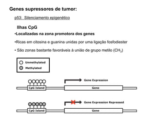 •Localizadas na zona promotora dos genes
•Ricas em citosina e guanina unidas por uma ligação fosfodiester
• São zonas bastante favoráveis à união de grupo metilo (CH3)
Ilhas CpG
p53: Silenciamento epigenético
Genes supressores de tumor:
 