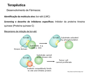 Desenvolvimento de Fármacos:
Iden*ﬁcação da molécula alvo: bcr-abl (LMC)
Screening e desenho de inibidores especíﬁcos: Inibidor da proteína tirosina
quinase (Proteína quinase C)
Mecanismo de inibição de bcr-abl:
h"p://www.novarHsoncology.com/
Terapêutica
 