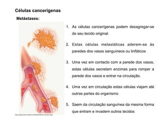 Metástases:
1. As células cancerígenas podem desagregar-se
do seu tecido original.
2. Estas células metastáticas aderem-se às
paredes dos vasos sanguíneos ou linfáticos
3. Uma vez em contacto com a parede dos vasos,
estas células secretam enzimas para romper a
parede dos vasos e entrar na circulação.
4. Uma vez em circulação estas células viajam até
outras partes do organismo
5. Saem da circulação sanguínea da mesma forma
que entram e invadem outros tecidos
Células cancerígenas
h"p://www.news‐medical.net/health/What‐is‐Cancer.aspx
 