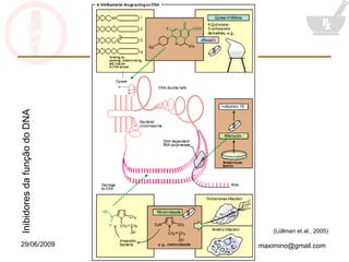 (Lüllman et al., 2005) Inibidores da função do DNA 