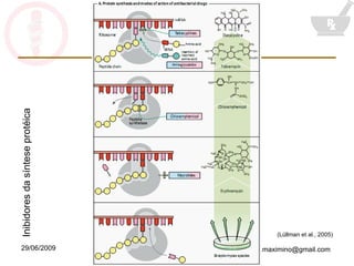 (Lüllman et al., 2005) Inibidores da síntese protéica 