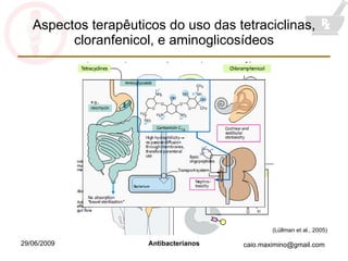Aspectos terapêuticos do uso das tetraciclinas, cloranfenicol, e aminoglicosídeos (Lüllman et al., 2005) 