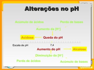Prof. BusatoProf. Busato
Química
Aumento da [H+
]
7,4
Acidose
Alcalose
Queda do pH
Acúmulo de ácidos
Acúmulo de basesPerda de ácidos
Perda de bases
Diminuição da [H+
]
Escala de pH
Aumento do pH
Alterações no pHAlterações no pH
 