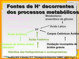 Prof. BusatoProf. Busato
Química
Fontes de HFontes de H++
decorrentesdecorrentes
dos processos metabólicosdos processos metabólicos
Powers,S.K. e Howley, E.T., Fisiologia do Exercício, (2000), pg207 Fig11.3
Metabolismo
aeróbico da glicose
Metabolismo
anaeróbico da glicose
Ácido Carbônico Ácido Lático
Ácido Sulfúrico
Ácido Fosfórico
Corpos Cetônicos Ácidos
H+
Oxidação de Amino ácidos
Sulfurados
Oxidação incompleta de
ácidos graxos
Hidrólise das fosfoproteínas e nucleoproteínas
 